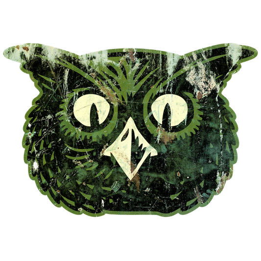 Modern Owl Head (Custom Carved)