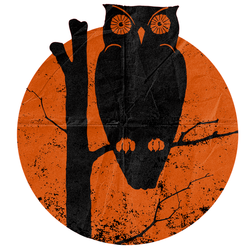 Owl Roosting On Branch With Moon (Custom Carved)