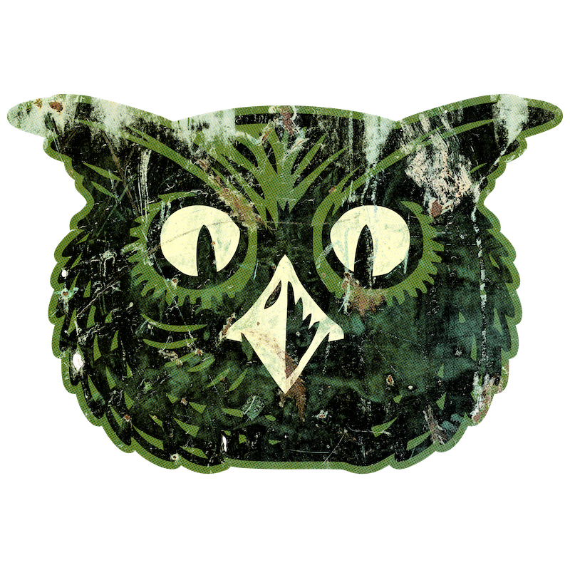 Modern Owl Head (Custom Carved)